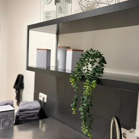 Ruhige Ferienwohnung Mitten Im Zentrum Plauen Buitenkant foto