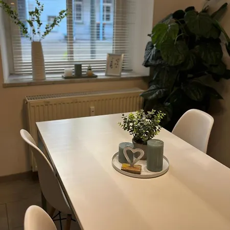 Ruhige Ferienwohnung Mitten Im Zentrum Plauen Buitenkant foto