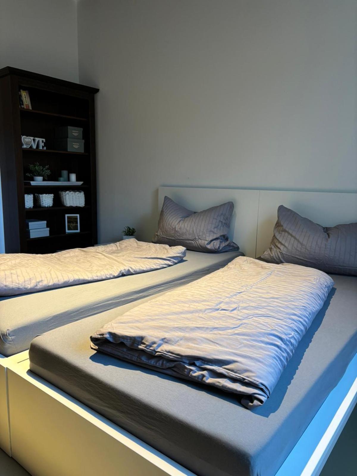 Ruhige Mitten Im Zentrum Apartment Plauen